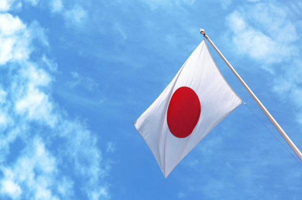 Q&A: Japan's road to recovery