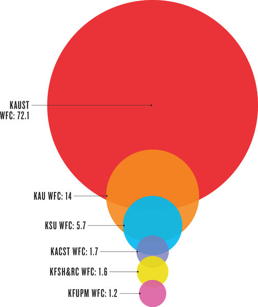 Saudi institutions performance