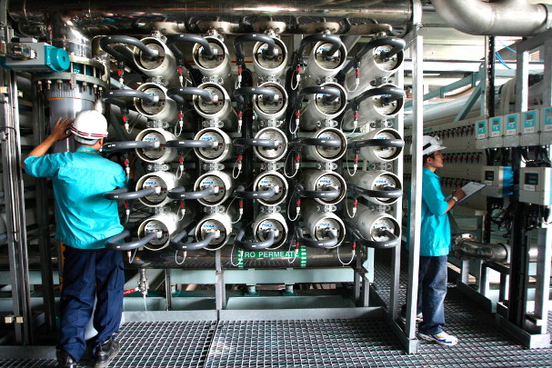 Singaporean research continues to dominate in some fields