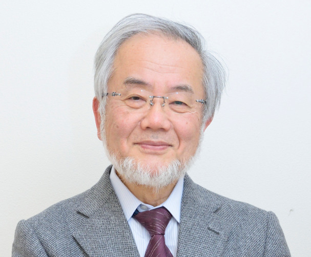 Yoshinori Ohsumi's dogged attention to detail credited for Nobel win