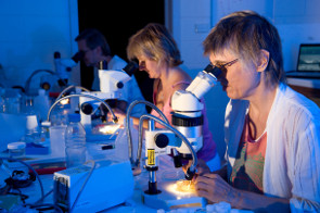 Australian funding agency turns a blind eye to evidence
