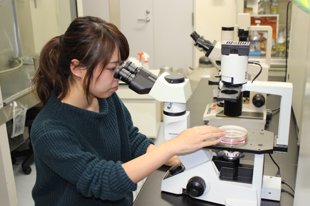 What price will Japanese science pay for austerity?