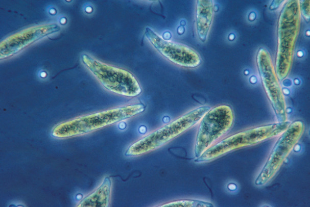How Todai is encouraging research spinoffs