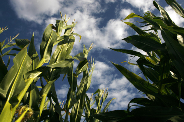 Transparency is a growth industry