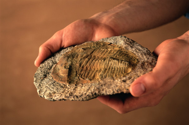 Encouraging palaeontologists to stop hiding the bones