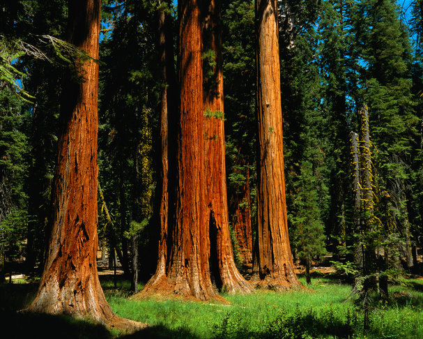The US leads the Nature Index top 500