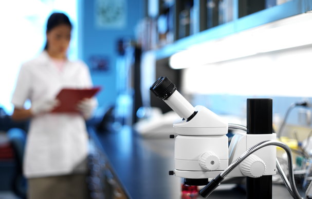 UK deliberations leave young researchers in limbo