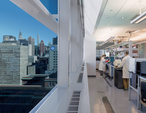 On the biotech block