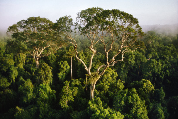 The new list of nature Index journals increases the coverage of Earth and environmental science articles.