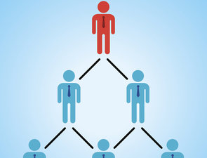 Peer reviewers unmasked: largest global survey reveals trends