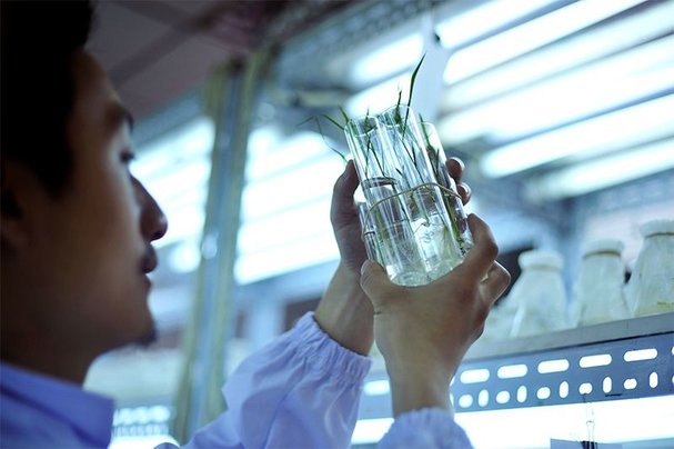 Science cities: Discovery central