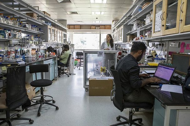 Scientists struggle with confusing journal guidelines