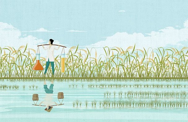 China: Yielding results to feed a people