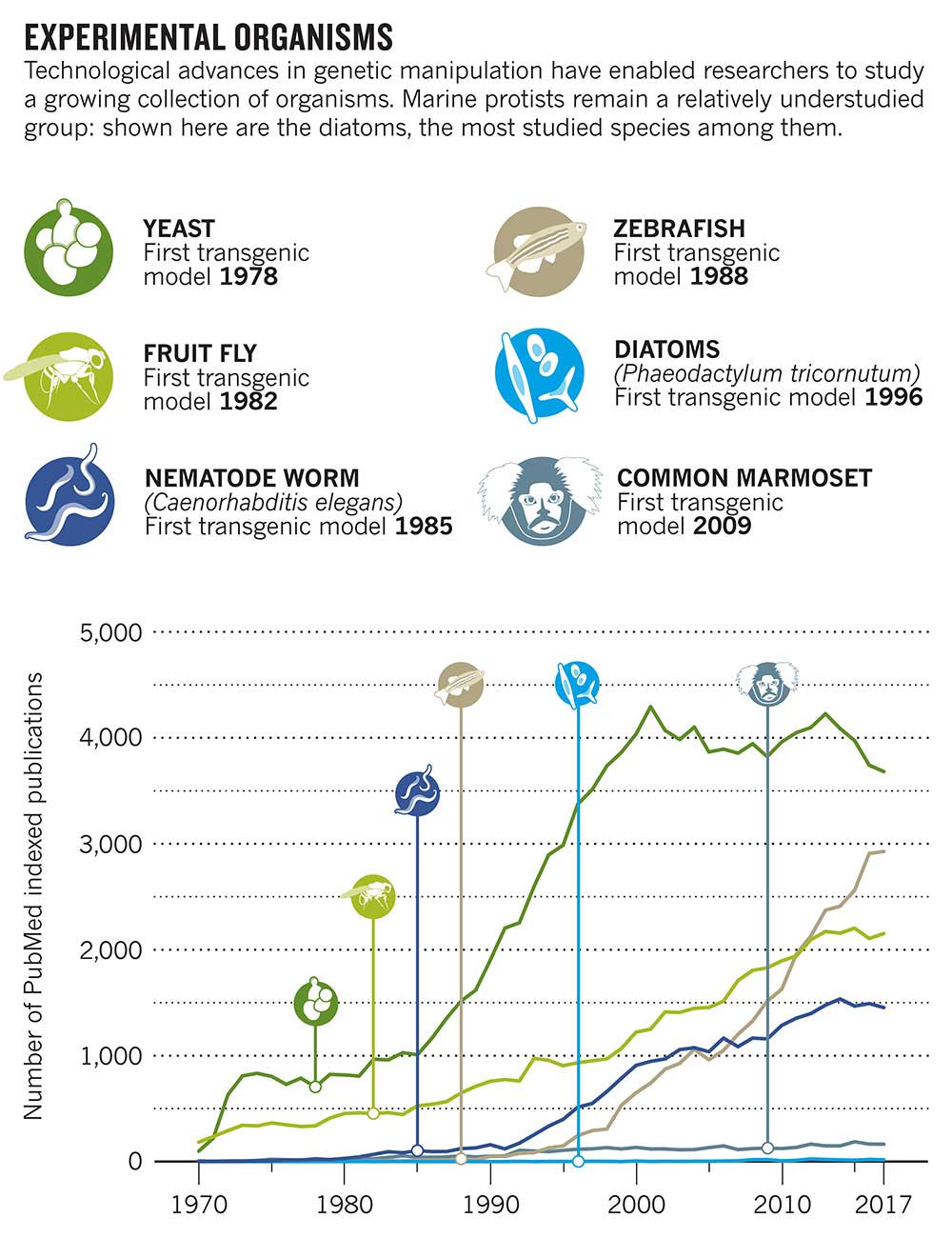 Experimental organisms
