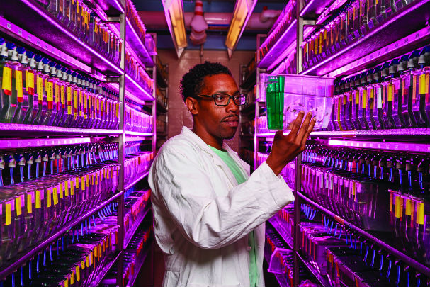 The top 10 countries that dominate natural sciences research