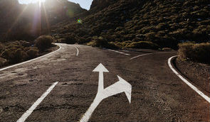 What matters most on the road to scientific success?