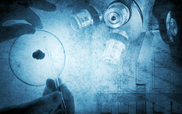 Fudged research results erode people’s trust in experts
