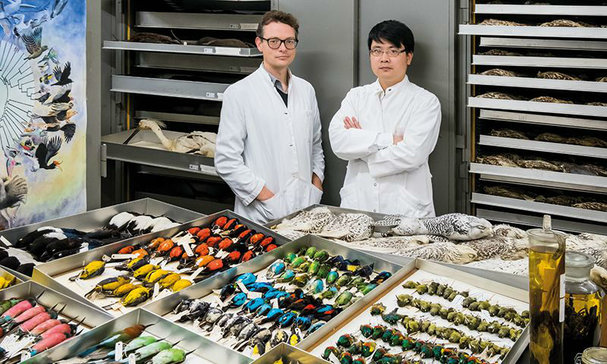 Top 5 corporate–academic collaborations in biomedical sciences