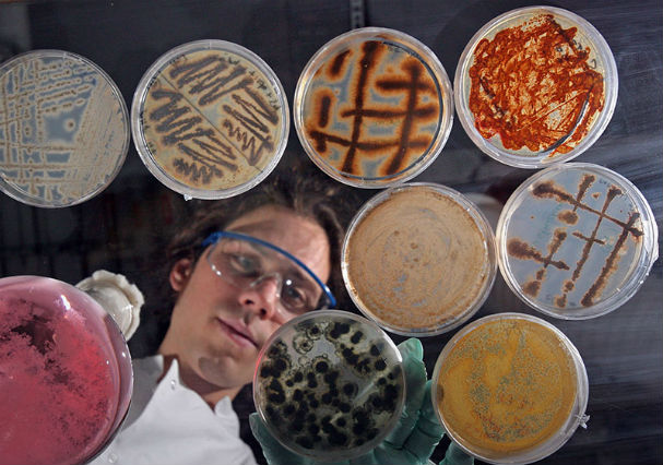 Top 5 NGOs for scientific research in 2018