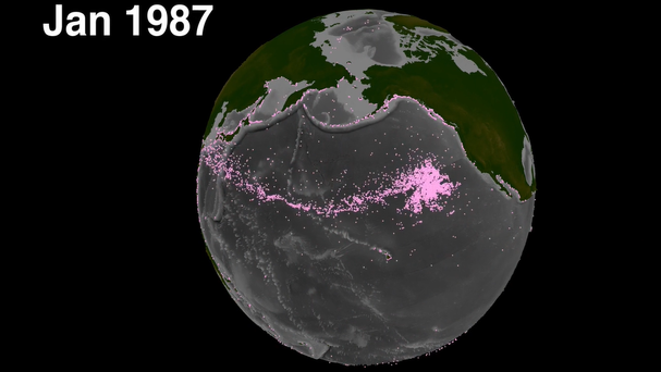 These mind-bending visualizations show nature in motion