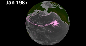 These mind-bending visualizations show nature in motion