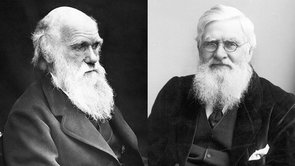 Scooped in science? Relax, credit will come your way