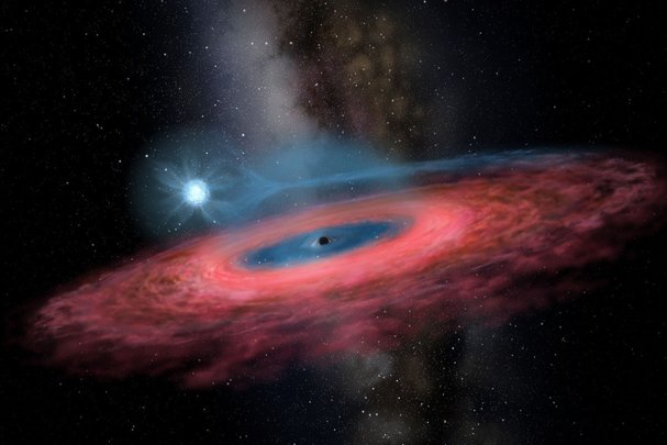 The 5 most popular scientific papers of November 2019