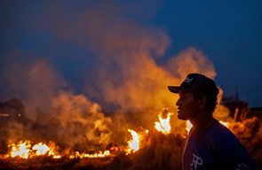 "Landscape of fear" forces Brazilian rainforest researchers into anonymity
