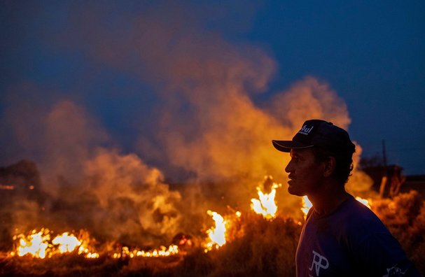 "Landscape of fear" forces Brazilian rainforest researchers into anonymity