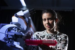 Five leading early career researchers in materials science