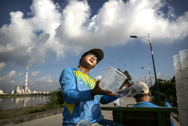 These are the top 10 Asia-Pacific universities for life sciences