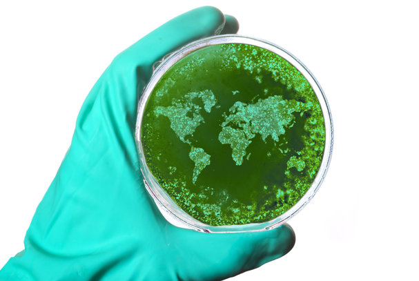 Scientists must stand up for internationalism
