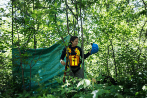 Top 10 countries in Earth and environmental sciences research