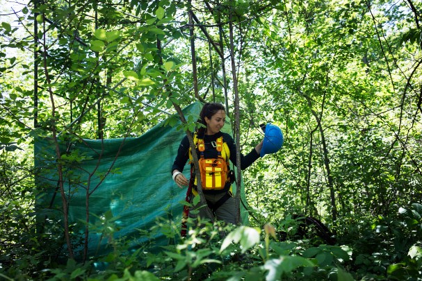 Top 10 countries in Earth and environmental sciences research