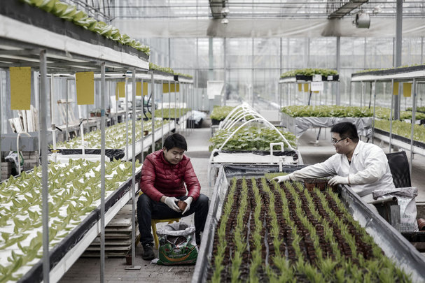 Top 10 Asia-Pacific locations for life sciences research