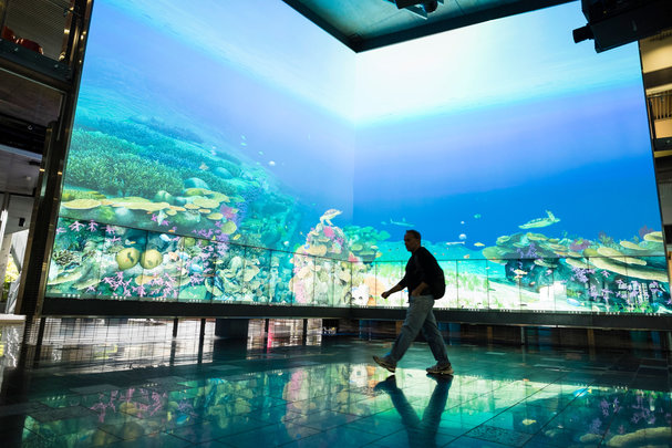 5 Australian universities that are rising fast in the Nature Index