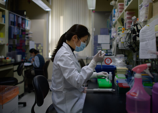 The open secret that underpins South Korea’s science success
