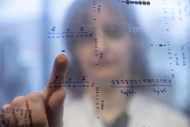 The 10 leading countries in natural-sciences research 2020