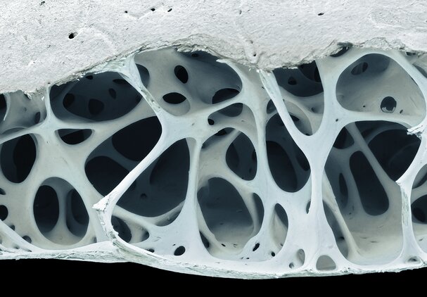 3 ways to make your scientific images accurate, informative and accessible