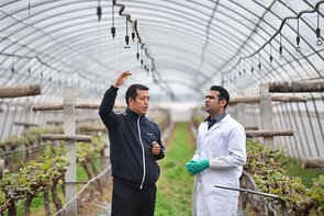 Silk Road becomes the one less travelled as China lures science talent home