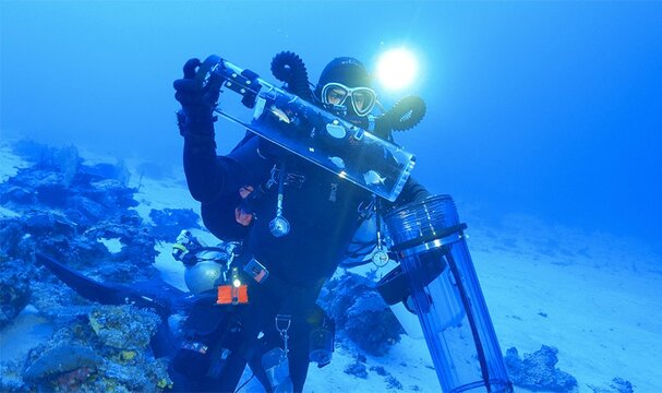 How cities are collaborating to help safeguard oceans