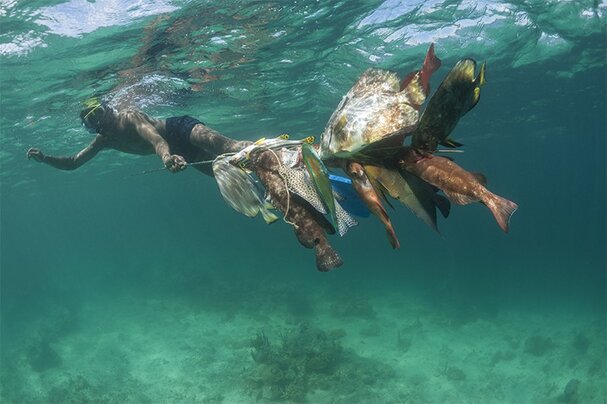 Coral conservation strikes a balance