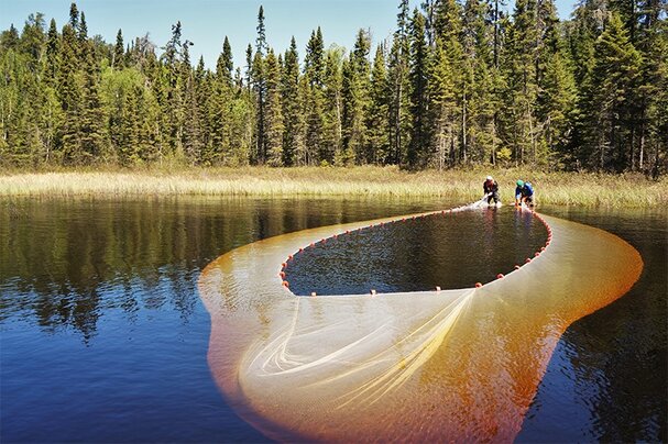 Canada’s researchers call for a return to stated science ambitions