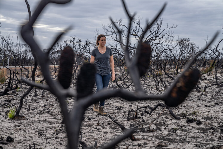 Front line scientists call for mental health support in the wake of catastrophic ecosystem loss