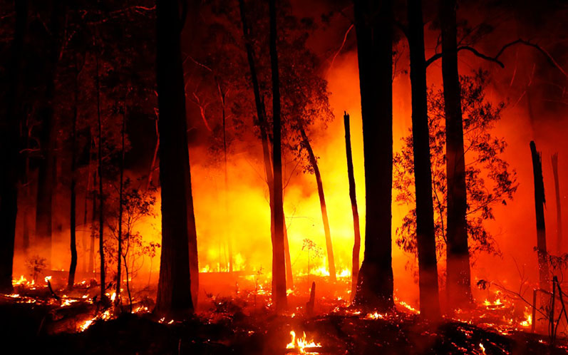 Catastrophic Australian bushfires derail research