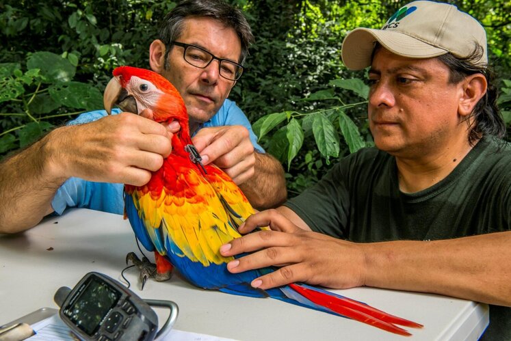 Post-pandemic, fieldwork faces a remote future