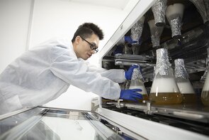 Young universities forge new paths to success