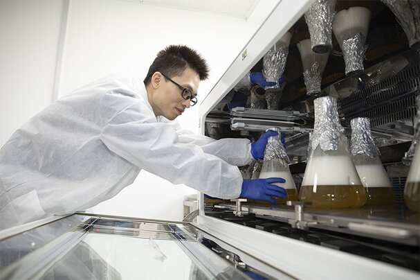 Young universities forge new paths to success