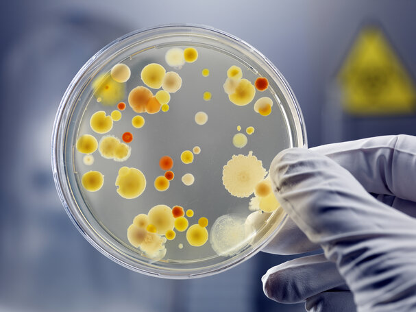 Nature Index 2025: The world’s top 10 institutions for microbiology research
