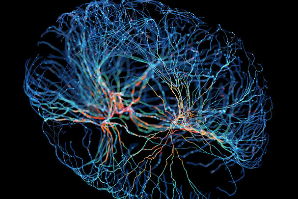 Nature Index 2025: The world’s top 10 institutions for neuroscience research